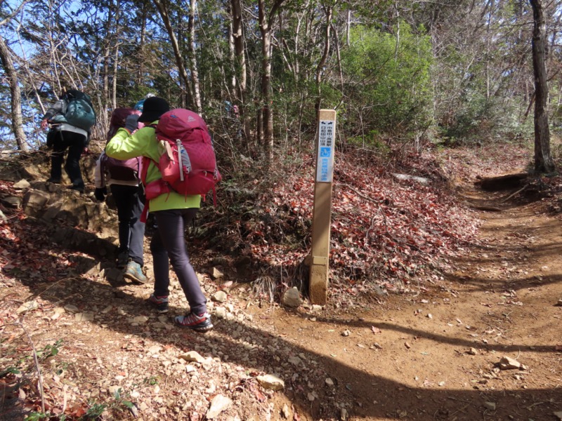 日和田山、物見山